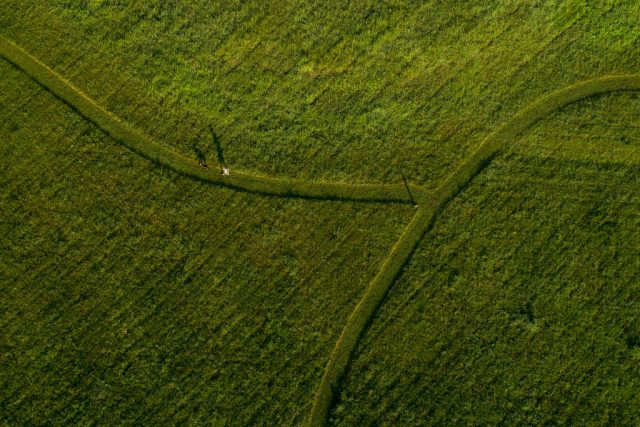 A visitor walks her dog on a path at Cahokia Mounds State Historic Site in Collinsville, Illinois on July 12, 2019. (Photo by Daniel Acker for The Washington Post via Getty Images)