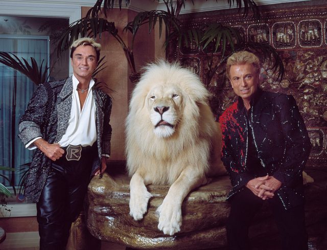 Las Vegas, Nevada headlining illusionists Siegfried Roy (Siegried Fischbacher and Roy Horn) in their private apartment at the Mirage Hotel on the Vegas Strip, along with one of their performing white lions (Photo by Carol M. Highsmith/Buyenlarge/Getty Images)