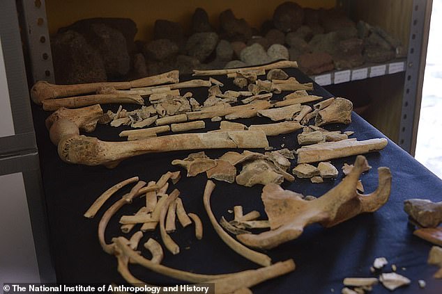 Archaologists found the remains of at least 12 adult women at the site, situated in a way that suggests they were protecting children between the ages of 5 and 6