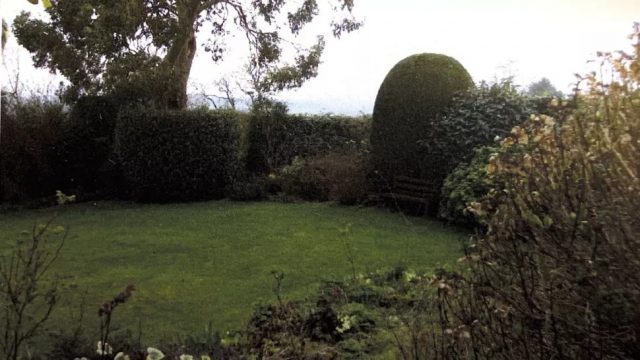 The artefact was dug up from an old rockery in the garden (pictured) of a bungalow home in the village of Whiteparish, Wiltshire, England. Credit: www.woolleyandwallis.co.uk