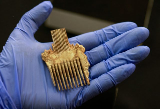A lice comb from the Bar Kochba Jewish revolt period is among the artefacts discovered. (Photo by MENAHEM KAHANA/AFP via Getty Images)