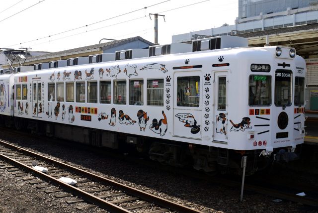 Tama-themed train