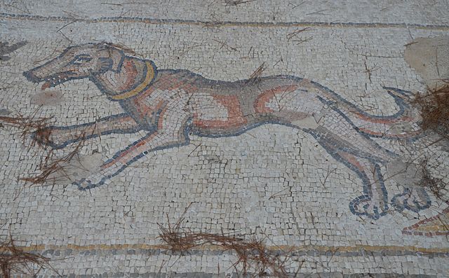 Mosaic Dog from the Byzantine Empire