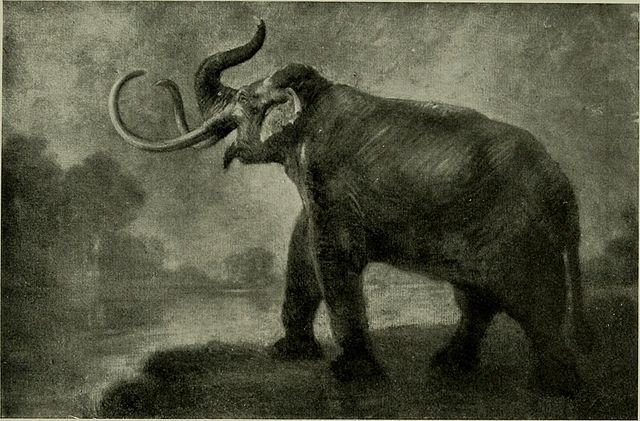 A sketch of a woolly mammoth from The American Museum Journal