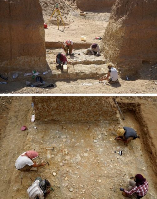 Undisturbed area (3m x 3m) within the mine being excavated. (Photo Credit: Mirosław Masojć et al., Plos One Journal)
