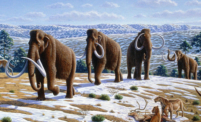 Painting of a group of woolly mammoths on a snowy hill