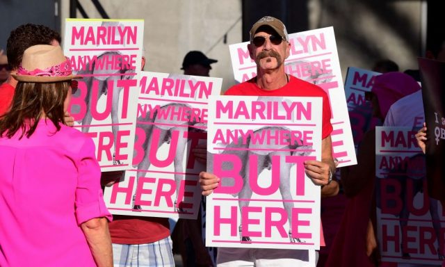 Male protestor holding a sign that reads "Marilyn anywhere but here"