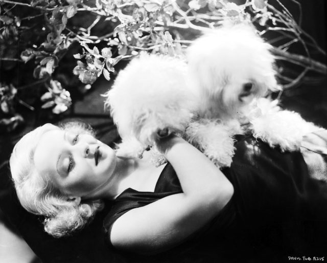 Bette Davis and her dogs 