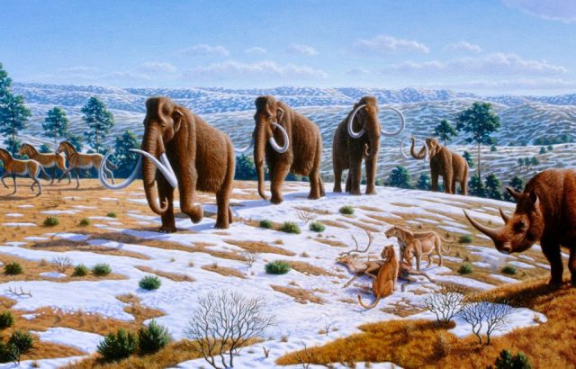 Pleistocene megafauna