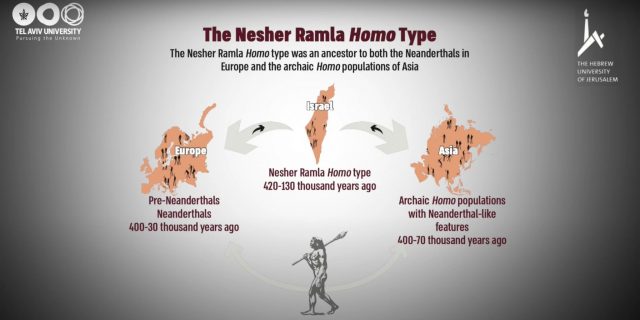 Nesher Ramla evolutionary map