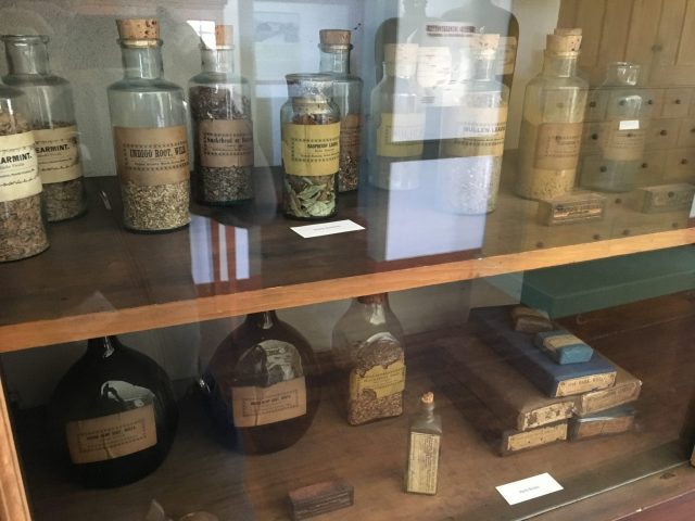 Shaker herbs at the Fruitlands Museum.