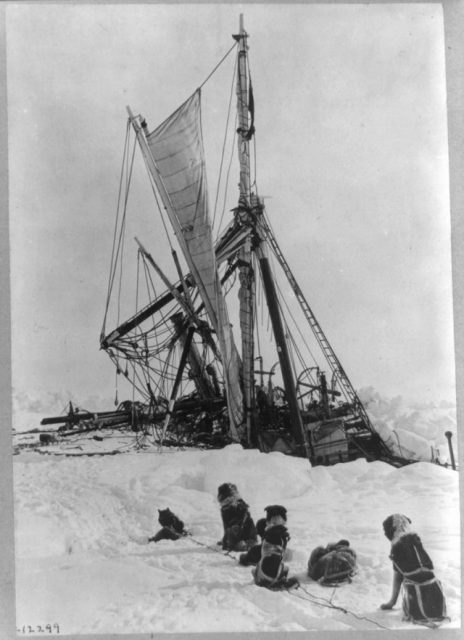 Ship masts sticking out of the ice in front of a pack of dogs