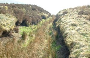 Offa's dyke trail