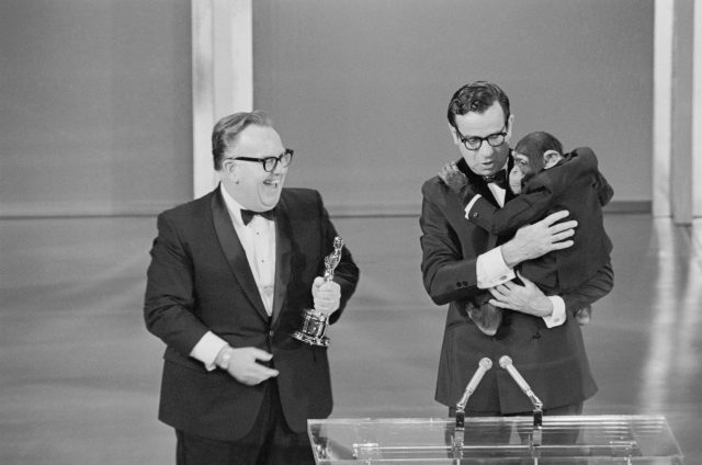 John Chambers accepts a special Oscar for his makeup done in Planet of the Apes 