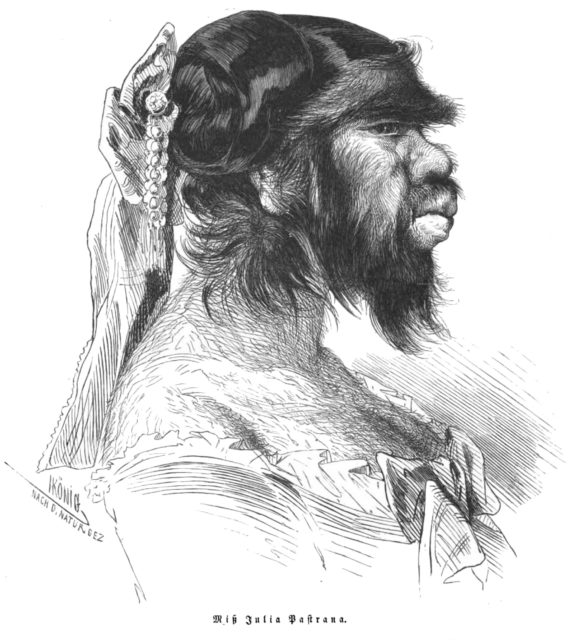 sketch of Julia Pastrana