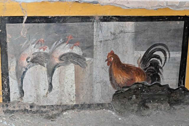A picture taken on January 25, 2021 shows a fresco decoration in the new area of the "Thermopolium " at the archaeological site of Pompeii