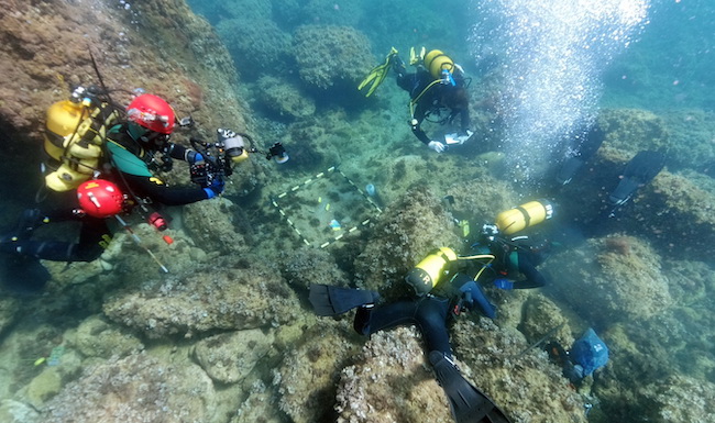 Four divers underwater