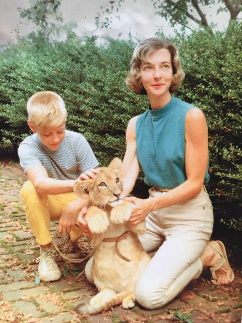Mom, son, and baby lion 