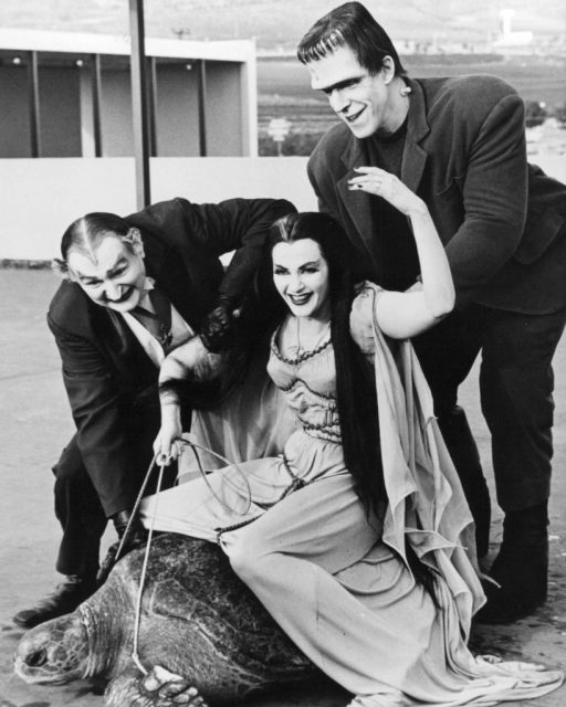 Lily Munster, played by Yvonne De Carlo rides a giant turtle in a publicity still for the comedy-horror TV series ‘The Munsters’, circa 1965. With her are Al Lewis as Grandpa, and Fred Gwynne as Herman Munster. (Photo Credit: Silver Screen Collection/Getty Images)