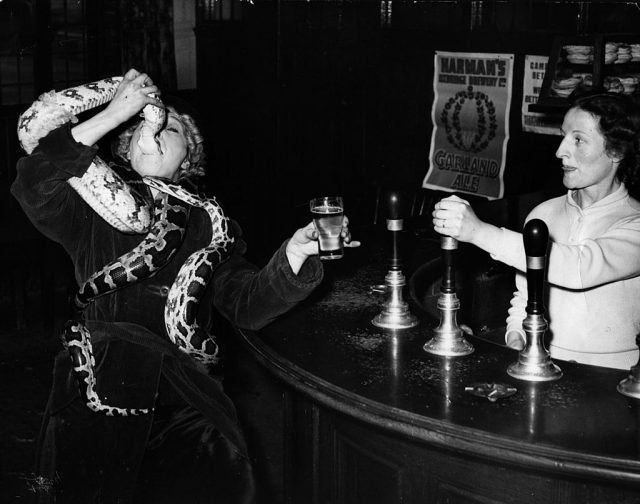 Woman swallowing a snake at a bar