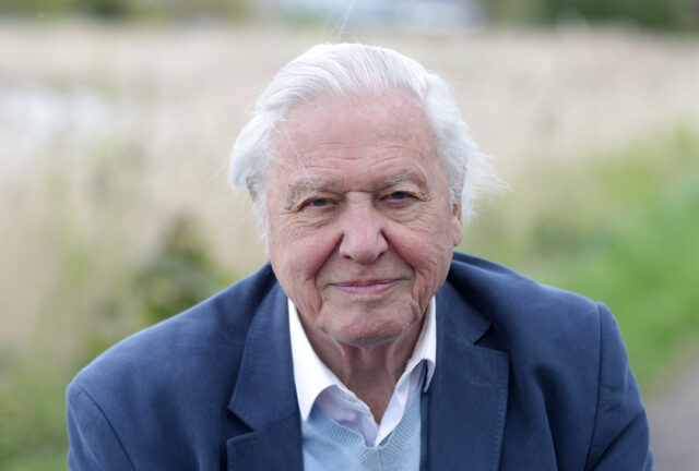 Headshot of David Attenborough.