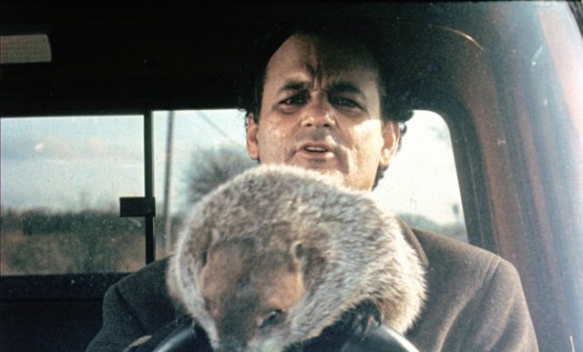 Phil Connors driving a car with a groundhog leaning over the steering wheel