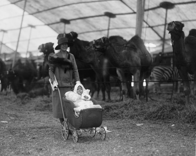 Mrs. Longworth & Paulina at circus (Photo Credit: National Photo Company Collection – Library of Congress Catalog: Public Domain)