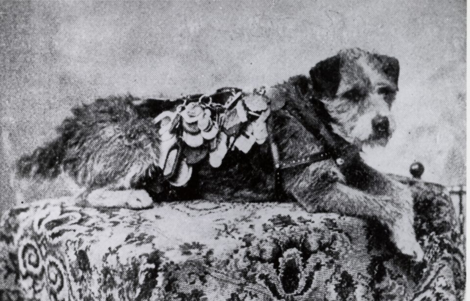 By {{{1}}} - Flickr: Owney, Public Domain, https://commons.wikimedia.org/w/index.php?curid=20491534