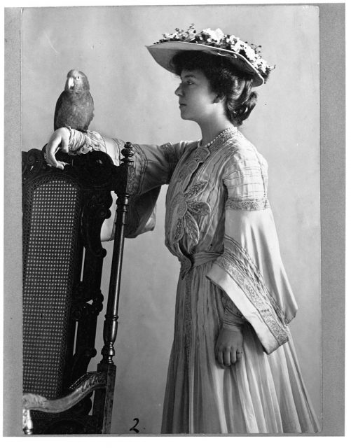 Alice holding a parrot