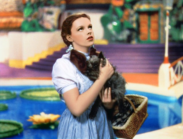 Dorothy holding Toto