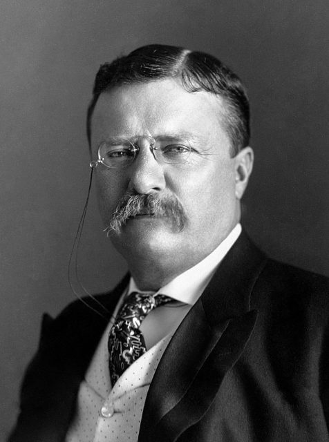 Portrait of Theodore Roosevelt