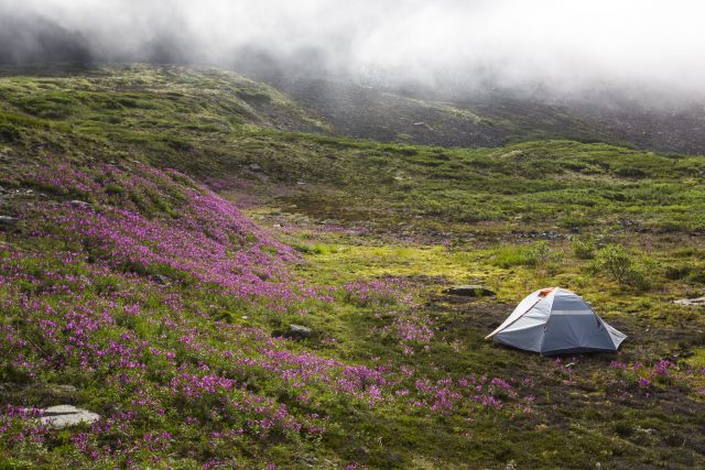 Camping in the fog (Photo Credit: Flickr/ alaskanps, Public Domain)