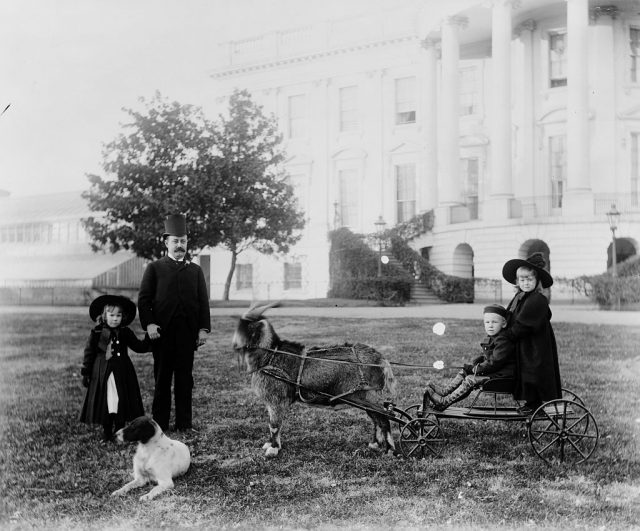 Photograph of Major Russell Harrison (1854-1936) outside the White House playing with his children. Photographed by Frances Benjamin Johnston (1864-1952). Dated 1893. (Photo Credit: Universal History Archive/Universal Images Group via Getty Images)