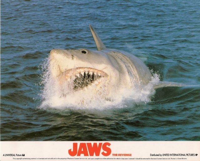 Jaws movie poster 