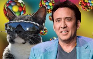 Nic Cage next to a cat wearing sunglasses
