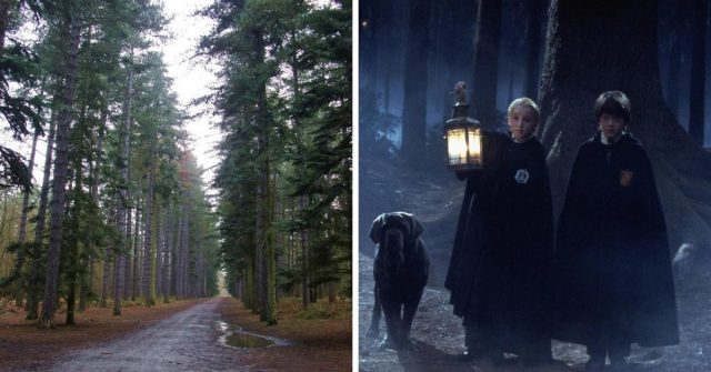 Black Park (Photo Credit: Stefan Czapski, CC BY-SA 2.0 & Warner Bros. / MovieStillsDB)