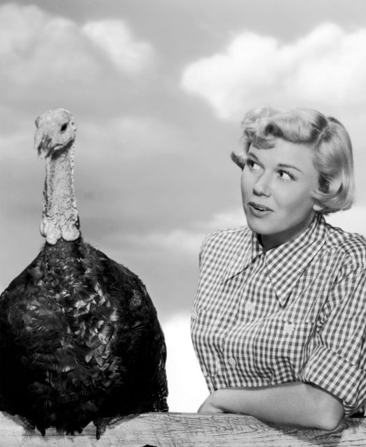 Doris Day staring at a turkey