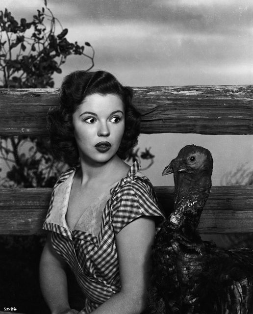 Shirley Temple staring at a turkey