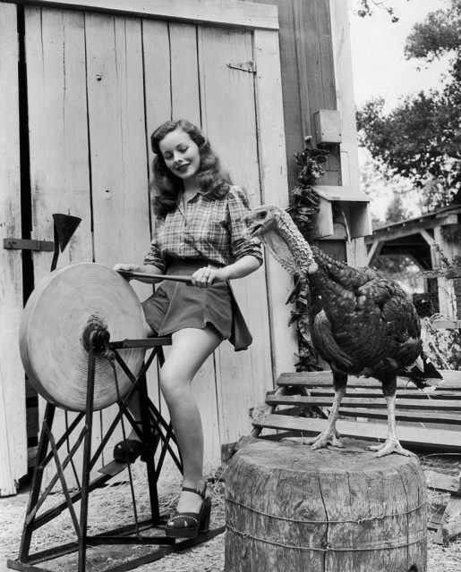 Jeanne Crain sharpening an axe while looking at a turkey