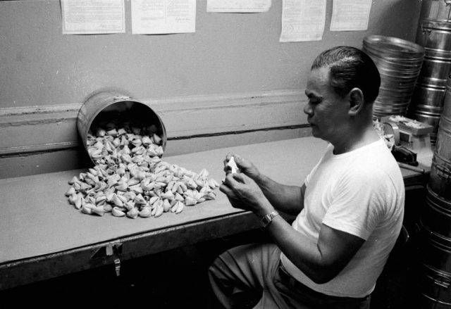 circa 1955: A fortune cookie factory owner inspects the quality of his produce. (Photo Credit: Evans/Three Lions/Getty Images)