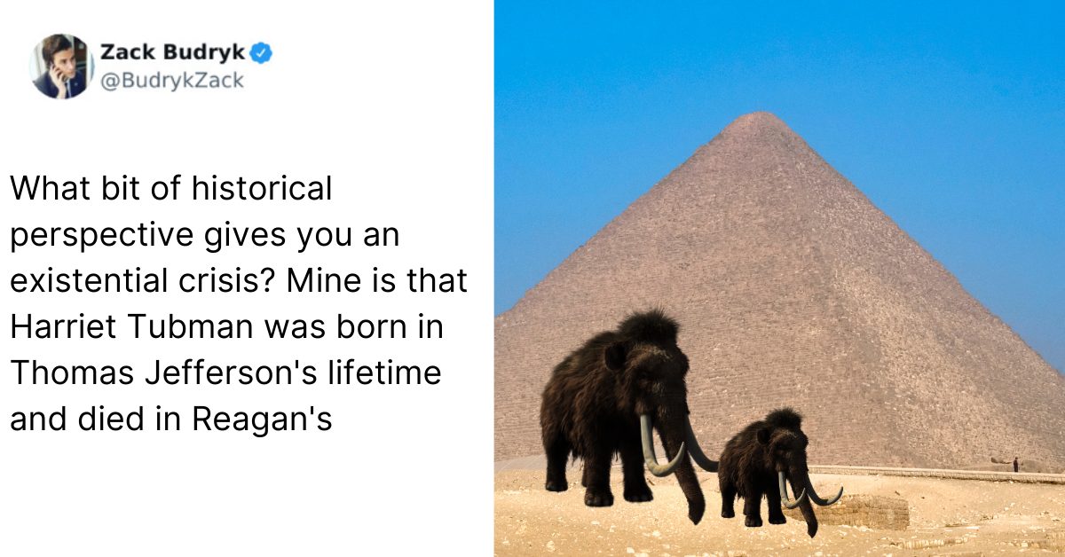 17 Historical Facts That Prove We re In A Time Warp The Vintage News
