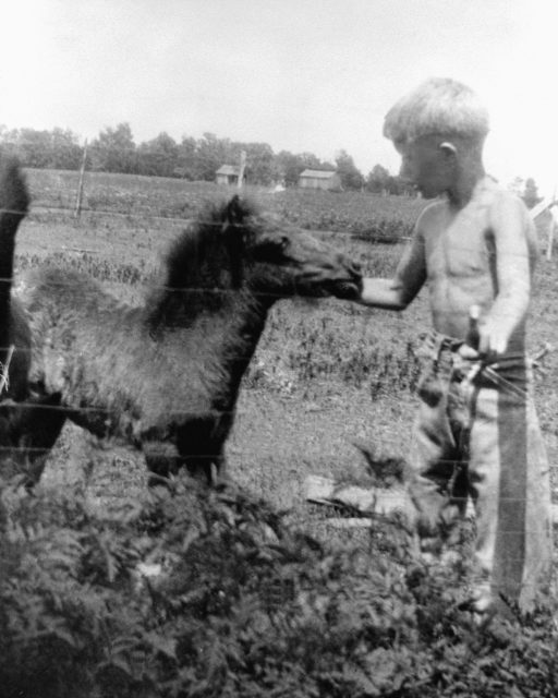 Young Jimmy Carter with a horse