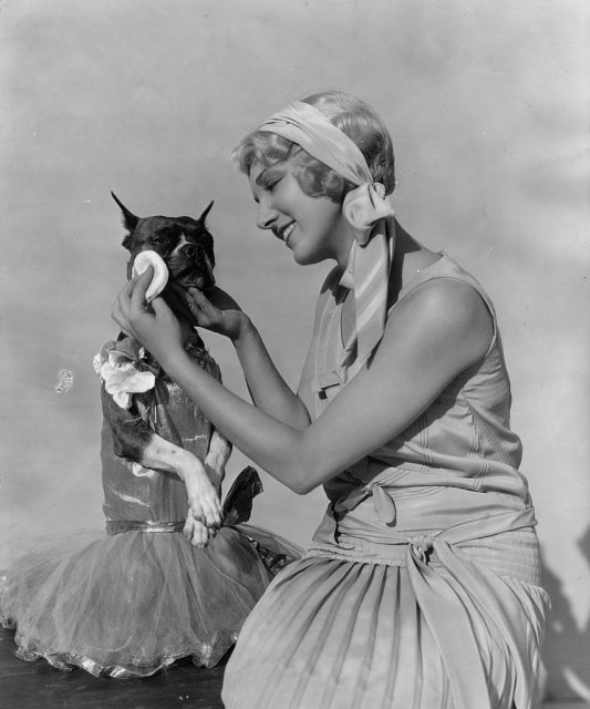 Leila Hyams powdering the muzzle of a dog dressed in a dress