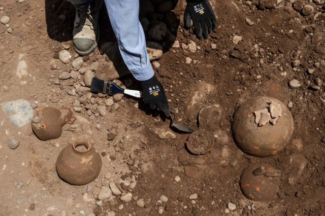 Archaeologist digging into dirt