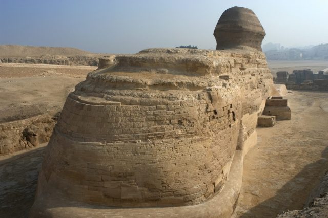 Backside of the Sphinx at Giza 