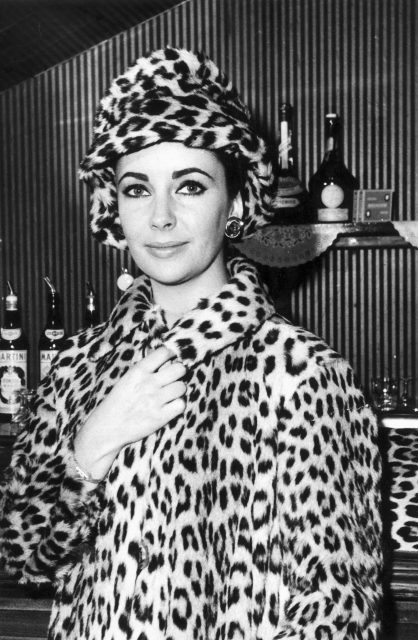 Elizabeth Taylor in a leopard skin coat and hat 