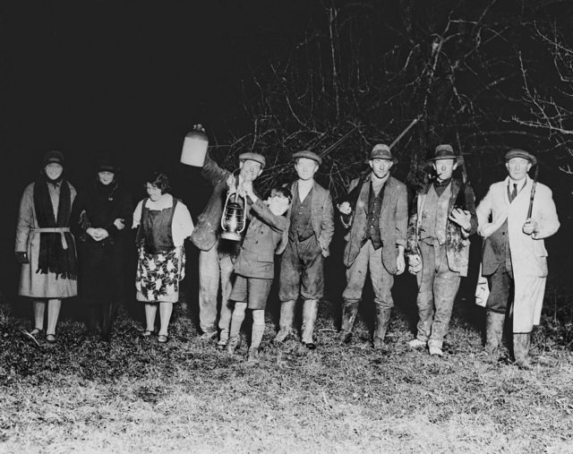 Wassailing in the orchards