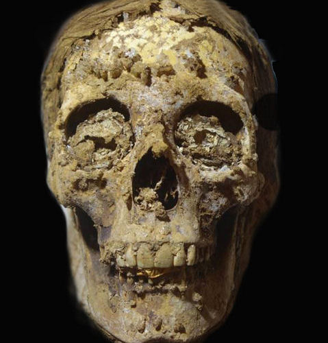 Mummy skull against a black backdrop