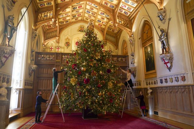 St. George's Hall Christmas tree 