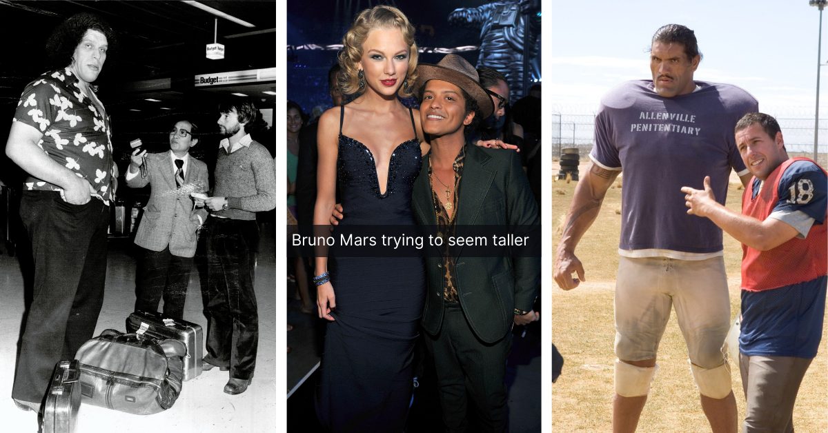 These 10 Hollywood Celebrities Are Extremely Tall | The Vintage News